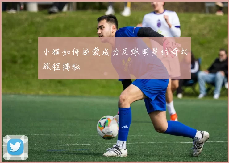 小猫如何逆袭成为足球明星的奇幻旅程揭秘