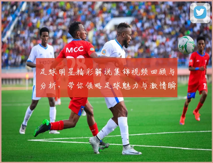 足球明星精彩解说集锦视频回顾与分析，带你领略足球魅力与激情瞬间