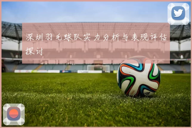 深圳羽毛球队实力分析与表现评估探讨