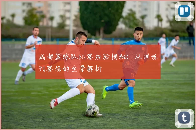 成都篮球队比赛经验揭秘：从训练到赛场的全景解析